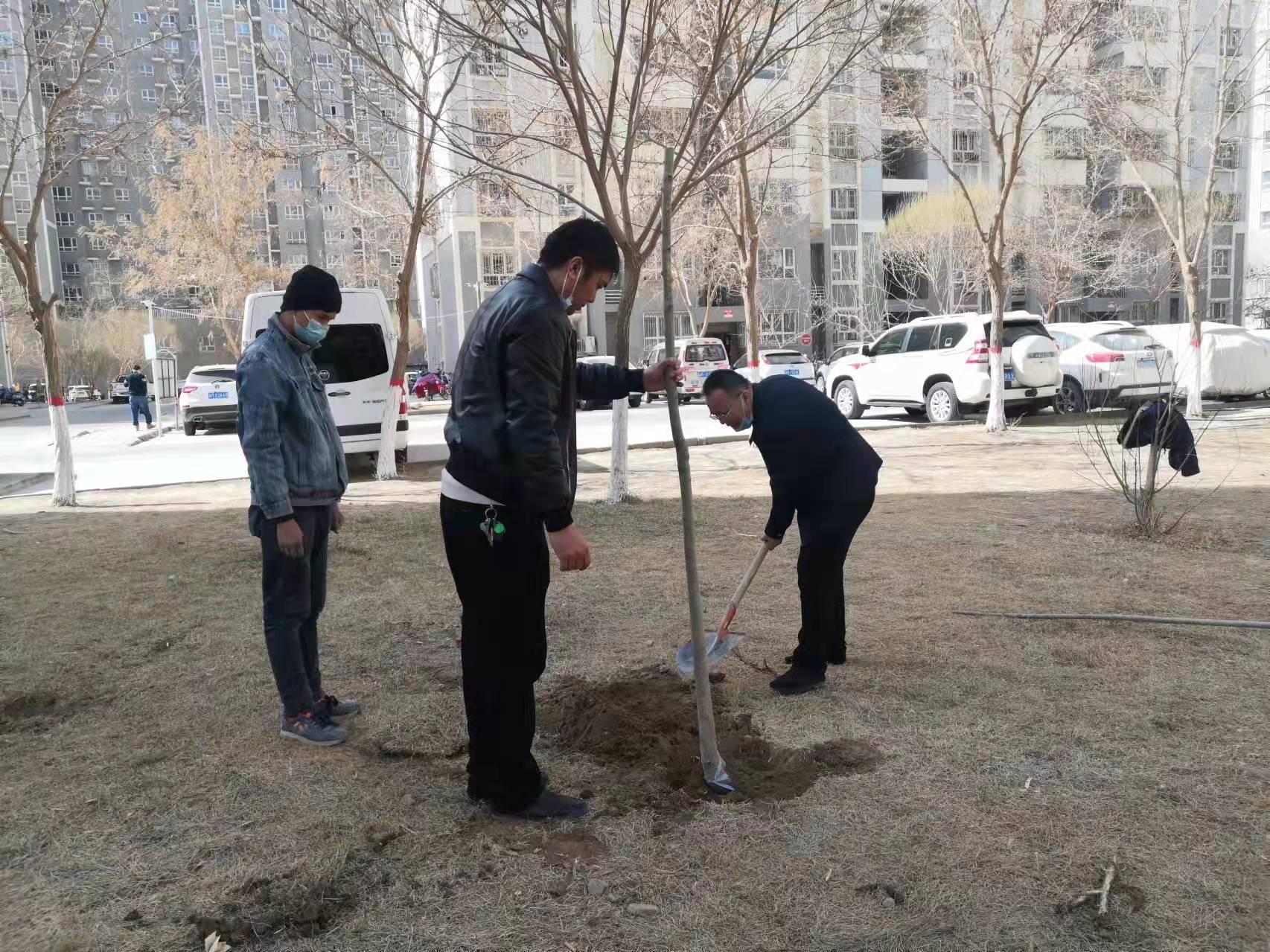 库尔勒市审计局深化审计职能，推动城市高质量发展新项目实施启动