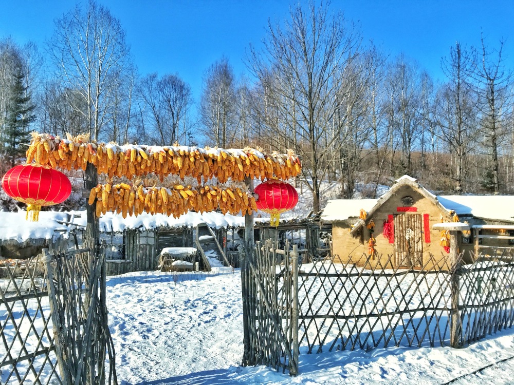 塘巴雪村神秘面纱下的新面貌揭晓最新新闻曝光